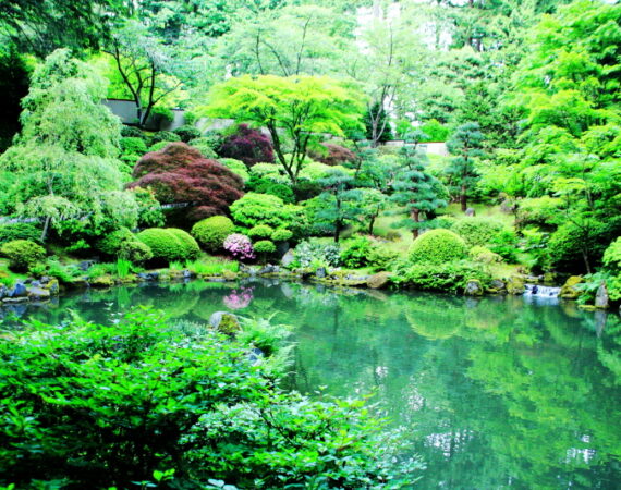 jardin japonnais